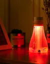 Wishing bottle, USB mini humidifier, car office desk, dormitory humidifier, night light Application Scenario
